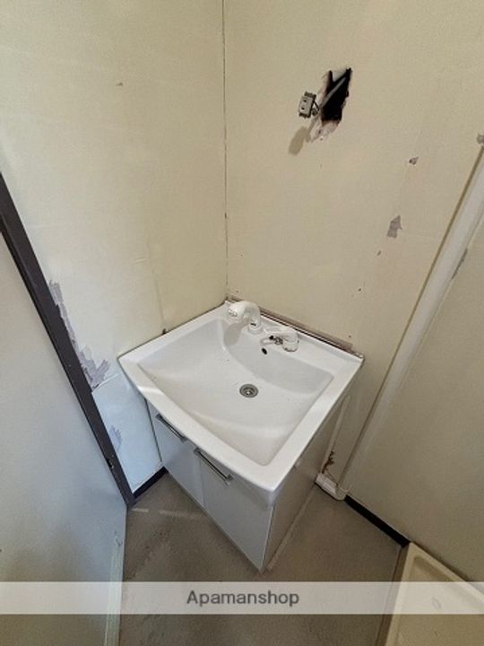 広島県広島市安佐南区八木8丁目の賃貸マンションの内装
