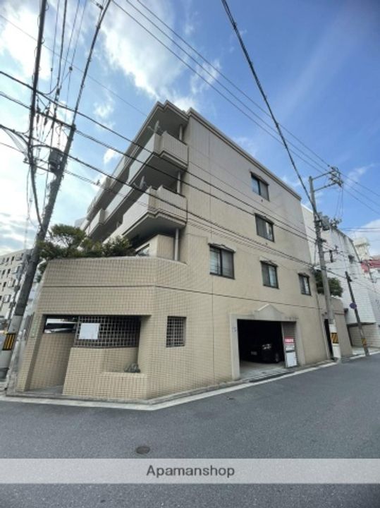 広島県広島市中区大手町5丁目の賃貸マンションの外観