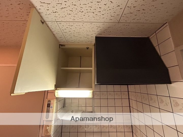 広島県広島市西区己斐上1丁目の賃貸マンションの内装