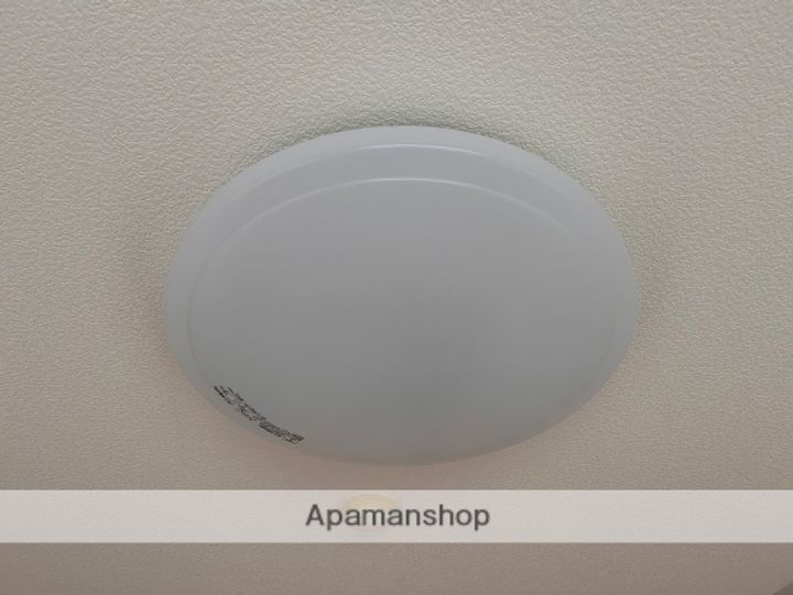 広島県広島市西区己斐上1丁目の賃貸マンションの内装