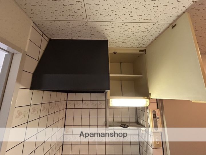 広島県広島市西区己斐上1丁目の賃貸マンションの内装