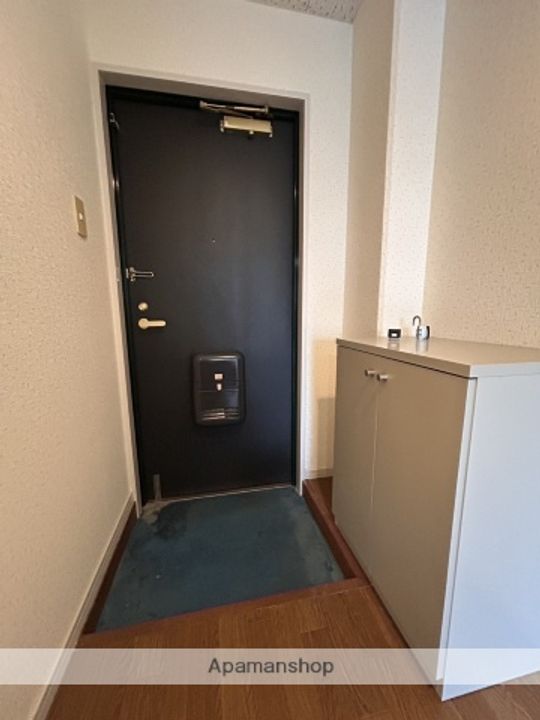 広島県広島市西区己斐上1丁目の賃貸マンションの玄関