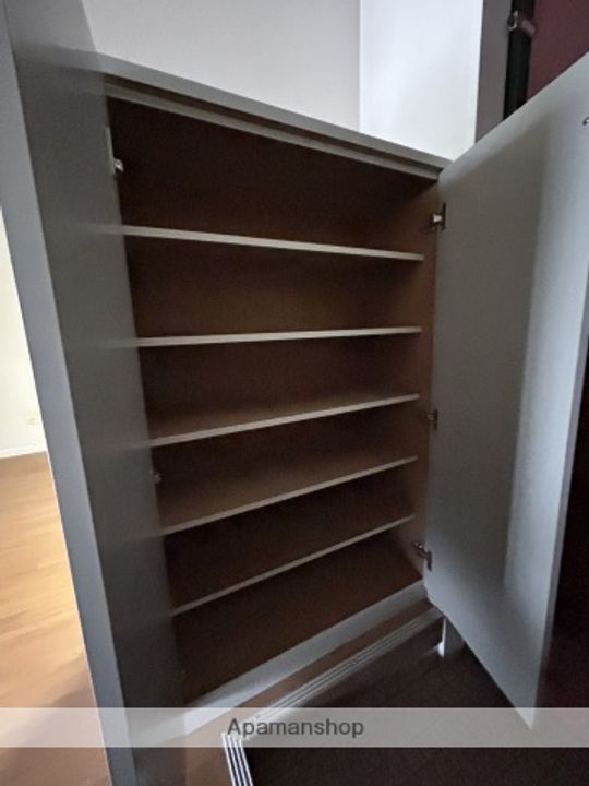 広島県広島市西区己斐上1丁目の賃貸マンションの内装