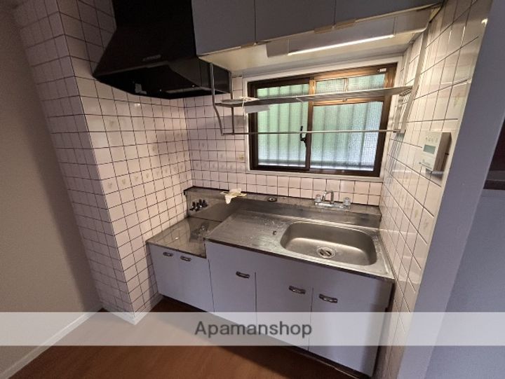 広島県広島市西区己斐上1丁目の賃貸マンションのキッチン