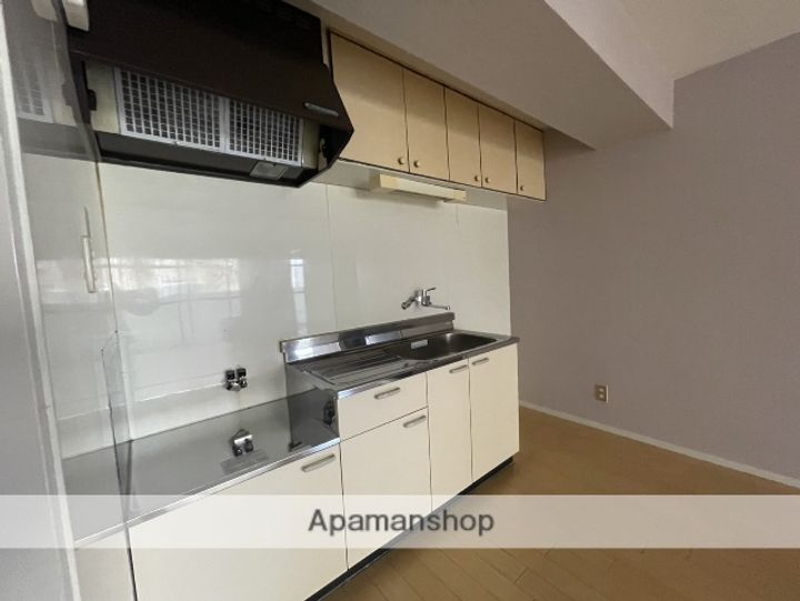 広島県広島市中区南竹屋町の賃貸マンションのキッチン