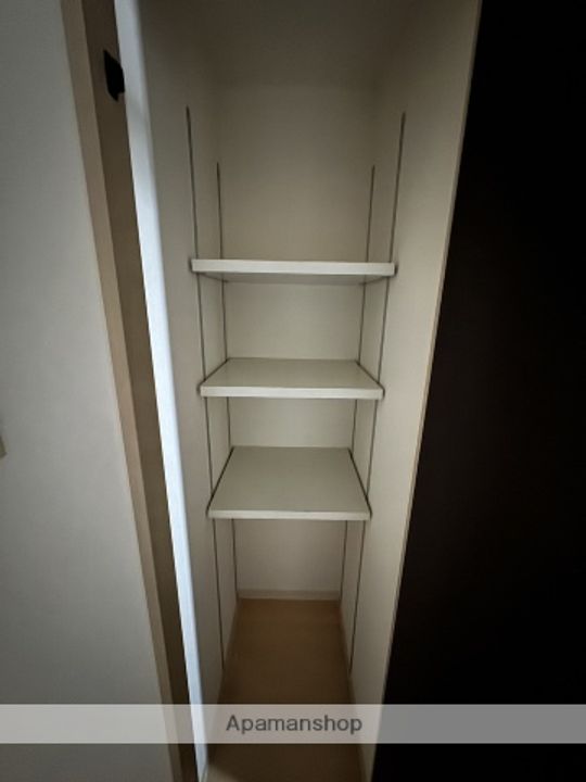 広島県広島市中区竹屋町の賃貸マンションの内装