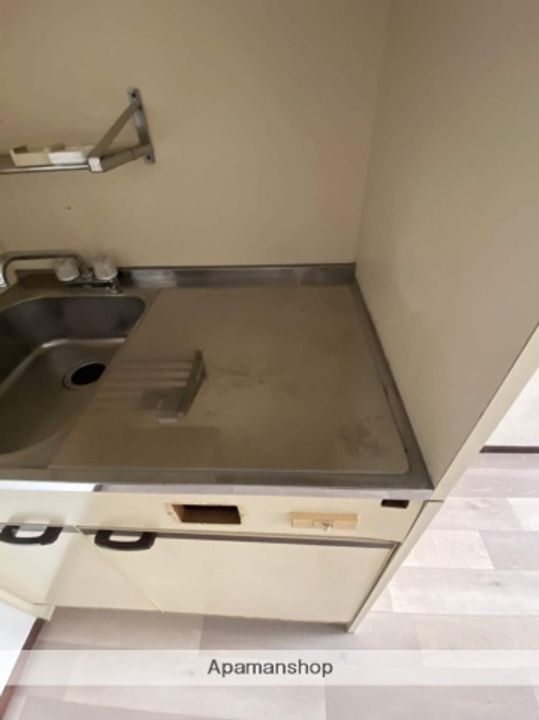 広島県広島市西区観音町の賃貸マンションの内装