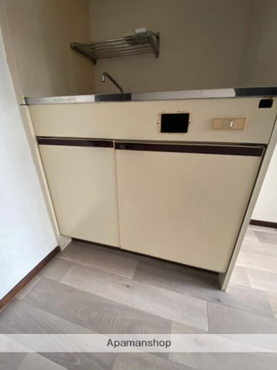 広島県広島市西区観音町の賃貸マンションの内装