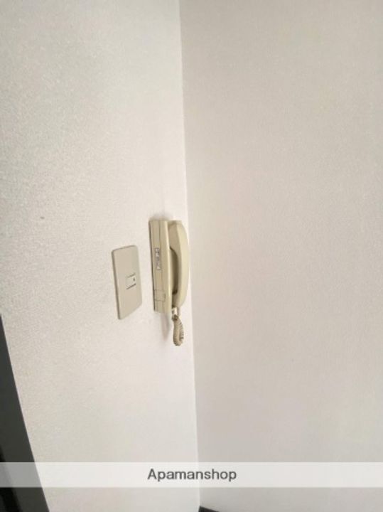 広島県広島市西区南観音2丁目の賃貸マンションのその他画像