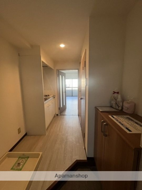 広島県広島市西区大芝1丁目の賃貸マンションの内装