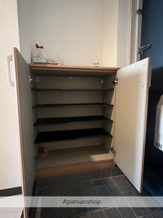 広島県広島市西区大芝1丁目の賃貸マンションの内装