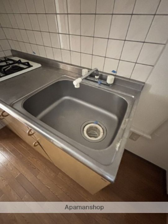 広島県広島市安佐南区西原4丁目の賃貸マンションの内装