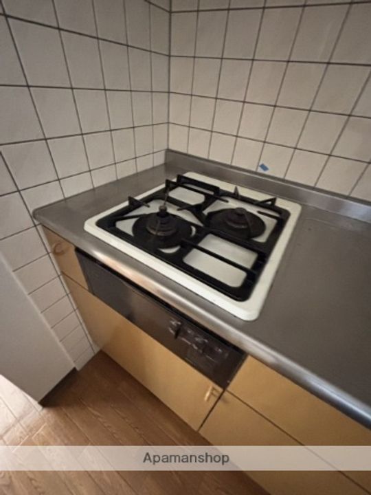 広島県広島市安佐南区西原4丁目の賃貸マンションの内装