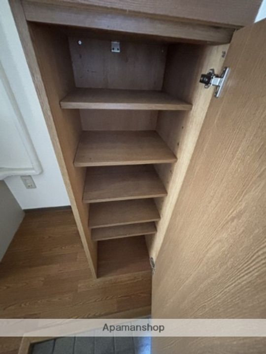 広島県広島市安佐南区西原4丁目の賃貸マンションの内装