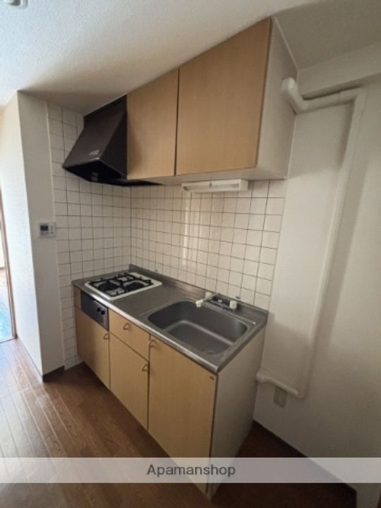 広島県広島市安佐南区西原4丁目の賃貸マンションのキッチン