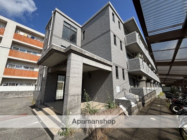 広島県広島市安佐南区西原4丁目の賃貸マンションの外観