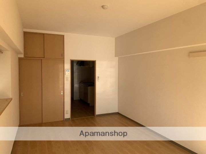 広島県広島市安佐南区東原2丁目の賃貸マンションの内装