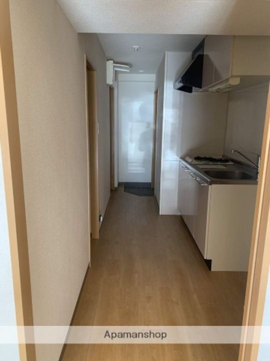 広島県広島市安佐南区東原2丁目の賃貸マンションの内装