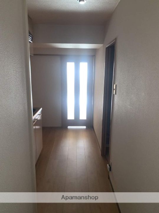 広島県広島市安佐南区東原2丁目の賃貸マンションの内装