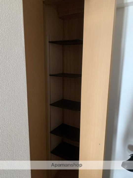 広島県広島市安佐南区東原2丁目の賃貸マンションの内装