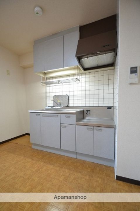 広島県広島市南区皆実町4丁目の賃貸マンション202のキッチン