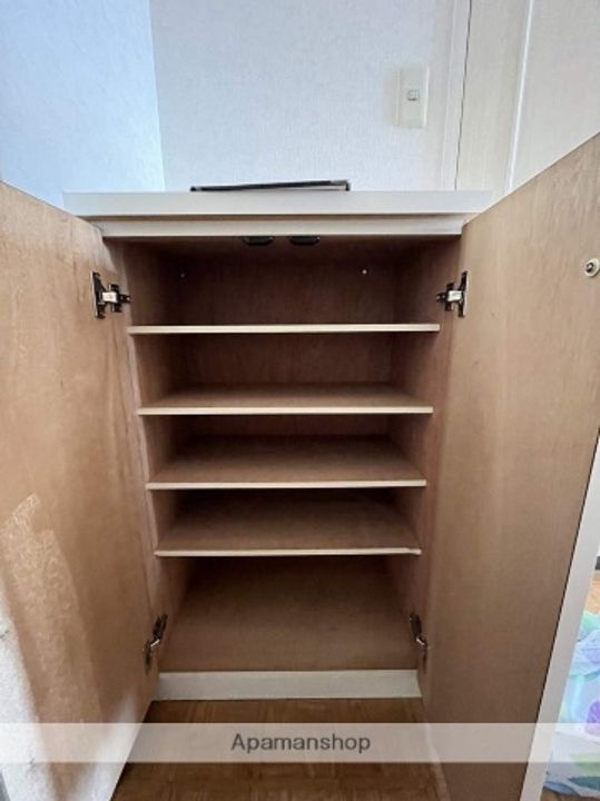 広島県広島市南区皆実町4丁目の賃貸マンションの内装