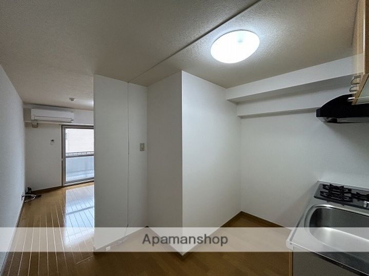 広島県広島市中区広瀬町の賃貸マンションの内装