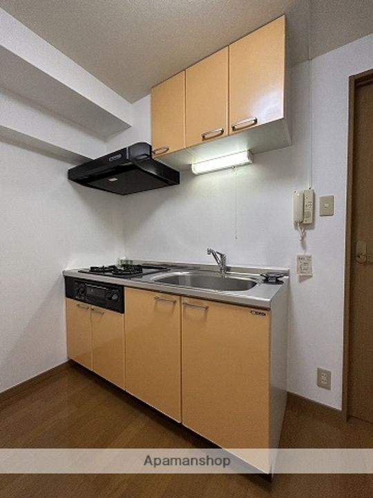 広島県広島市中区広瀬町の賃貸マンションのキッチン