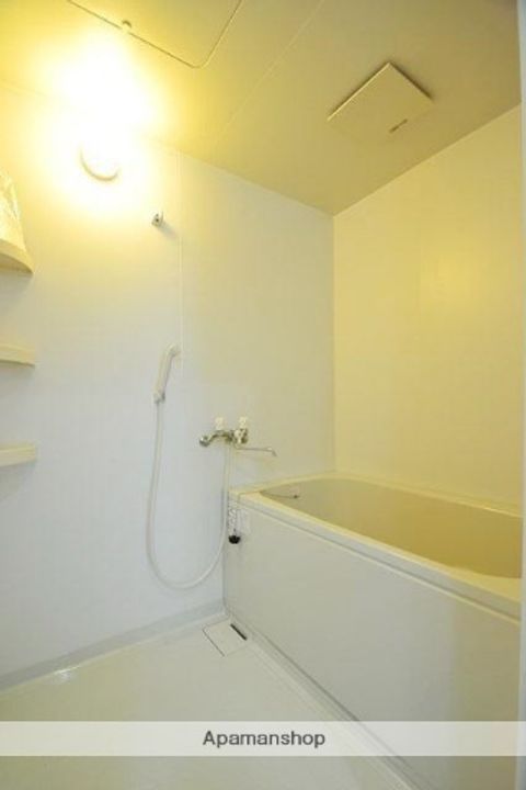 広島県広島市西区己斐本町1丁目の賃貸マンションの風呂