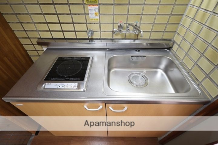 広島県広島市南区東雲1丁目の賃貸マンションの内装