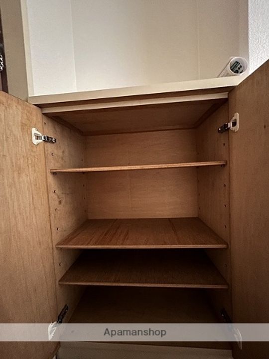 広島県広島市西区観音町の賃貸マンションのその他画像