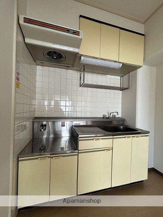 広島県広島市西区観音町の賃貸マンションのキッチン