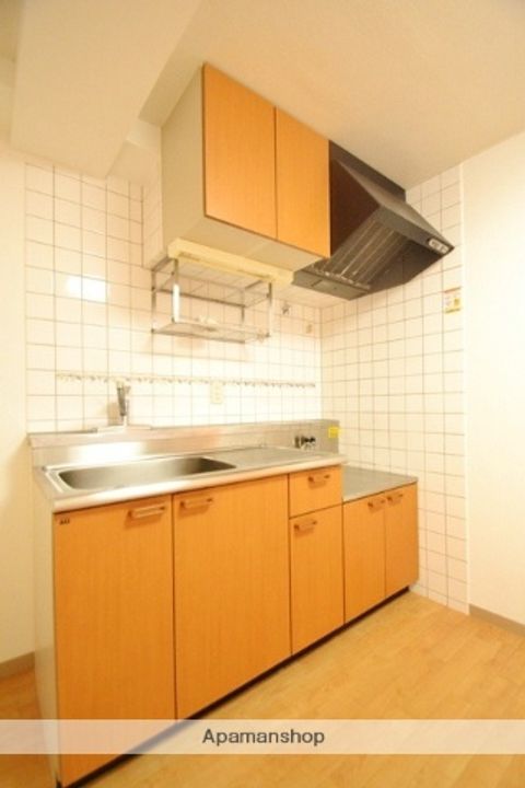 広島県安芸郡府中町茂陰1丁目の賃貸マンション304のキッチン