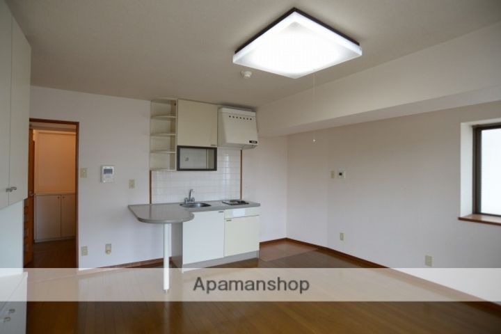 広島県広島市西区観音本町1丁目の賃貸マンションの内装