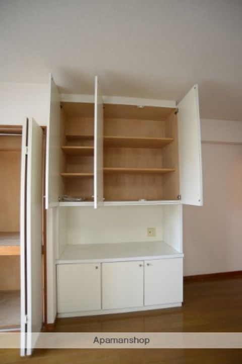 広島県広島市西区観音本町1丁目の賃貸マンションの内装