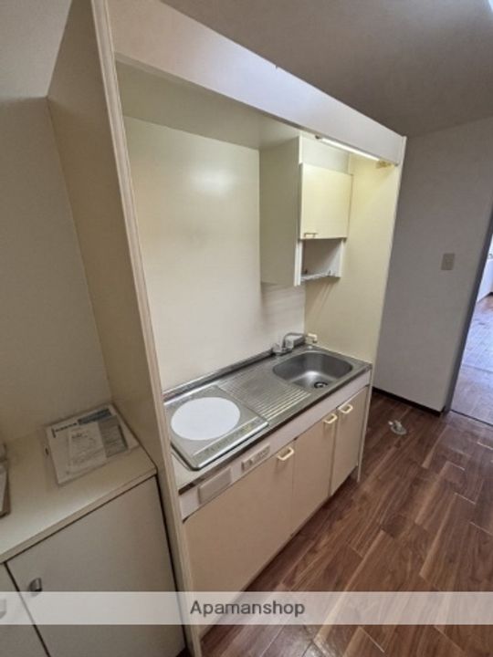 広島県広島市安佐南区西原2丁目の賃貸マンションのキッチン