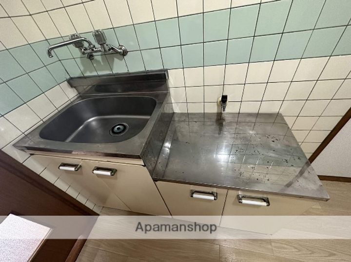 広島県広島市西区楠木町1丁目の賃貸マンションの内装