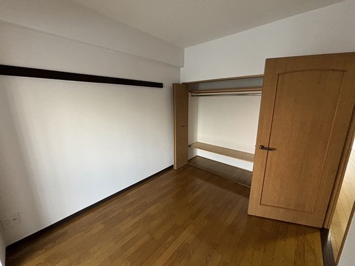 広島県広島市安佐南区川内5丁目の賃貸マンションの内装