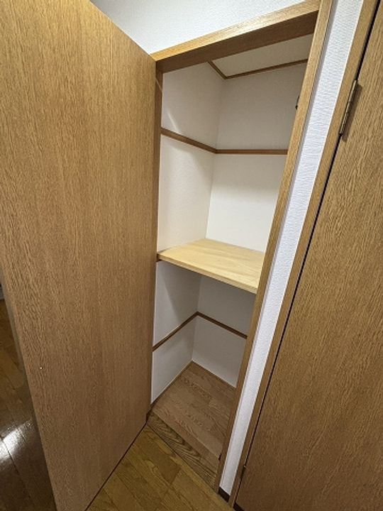 広島県広島市安佐南区川内5丁目の賃貸マンションの内装