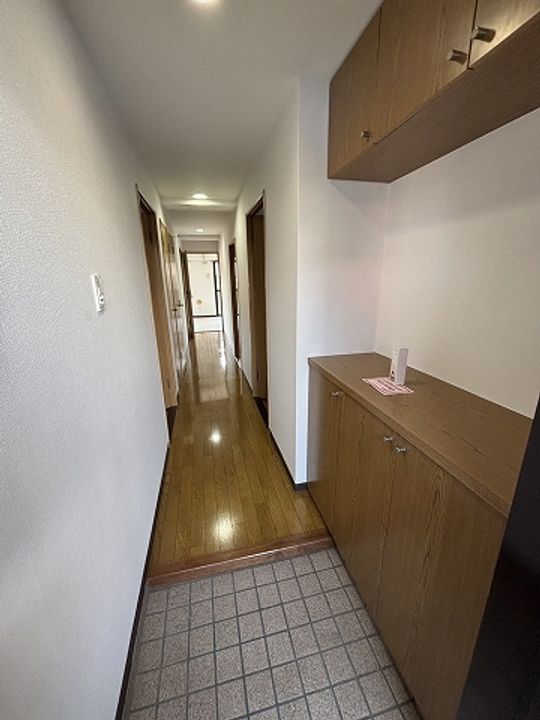 広島県広島市安佐南区川内5丁目の賃貸マンションの玄関