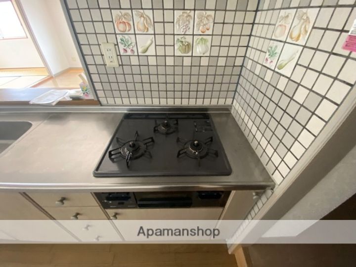 広島県広島市中区白島九軒町の賃貸マンションの内装