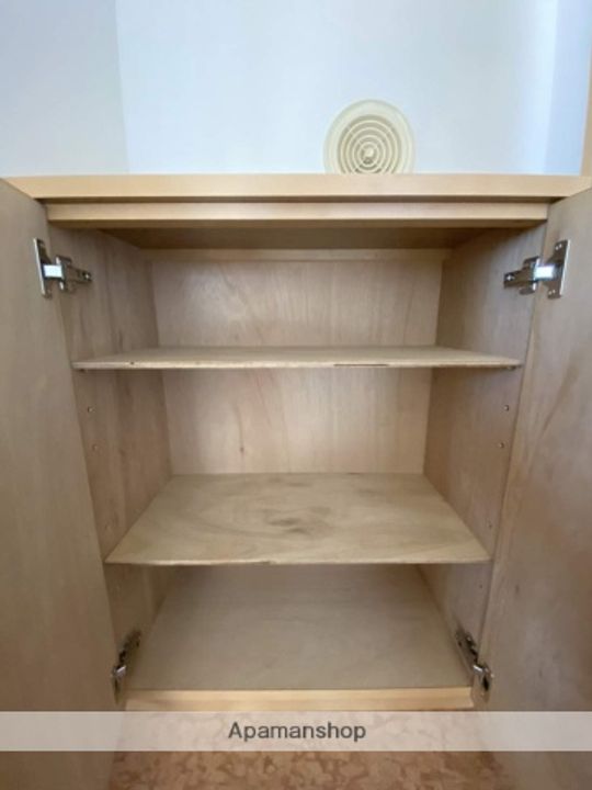 広島県広島市西区己斐本町2丁目の賃貸マンションの内装