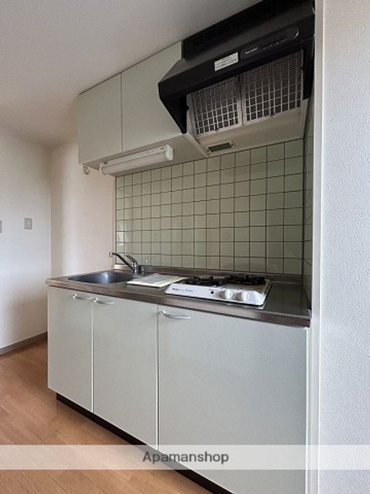 広島県広島市西区三篠北町の賃貸マンションのキッチン