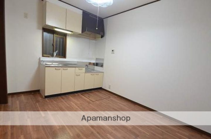 広島県広島市安佐南区川内1丁目の賃貸アパートの内装