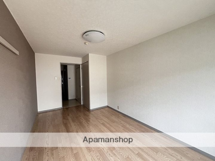 広島県広島市安佐北区可部南4丁目の賃貸マンションの内装