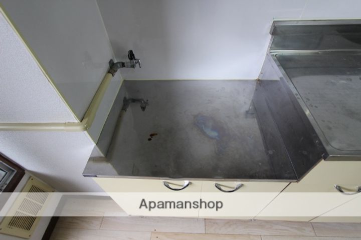 広島県広島市西区楠木町1丁目の賃貸マンションの内装