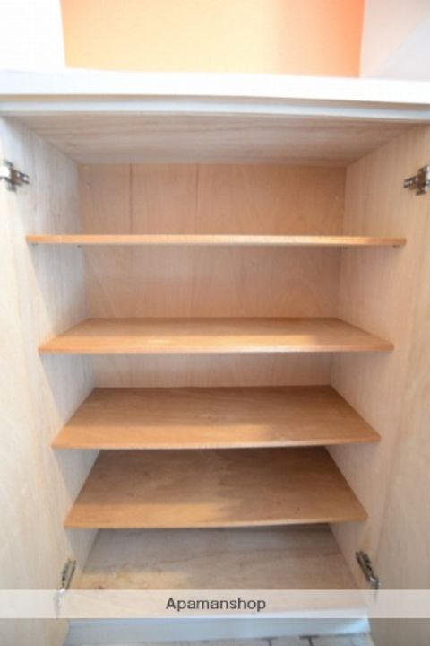 広島県広島市安佐南区上安1丁目の賃貸マンションの内装