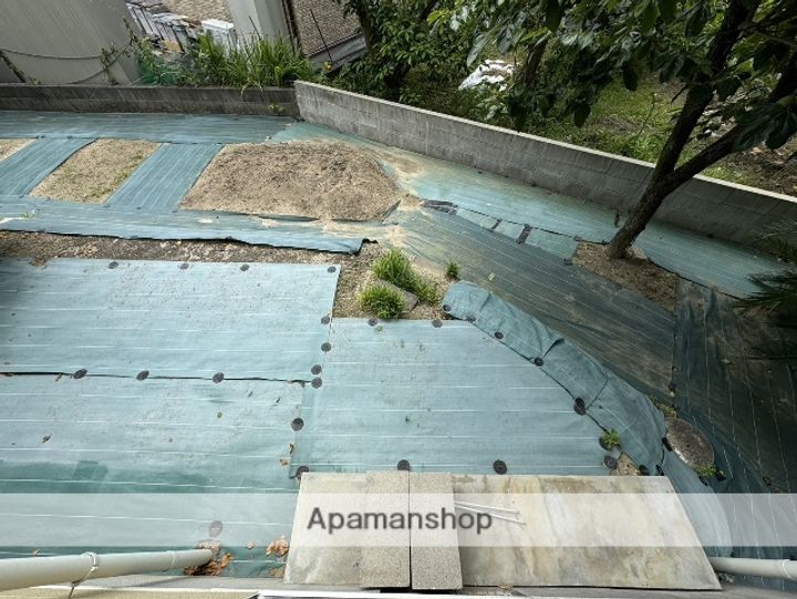 シリウスのその他画像