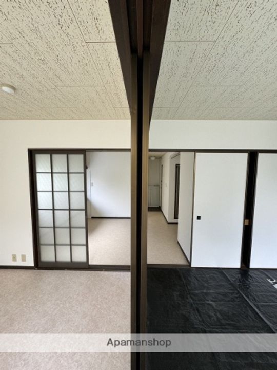 シリウスのその他画像