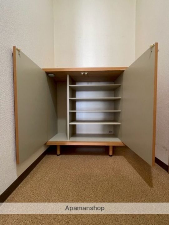 広島県広島市佐伯区千同2丁目の賃貸マンションの内装